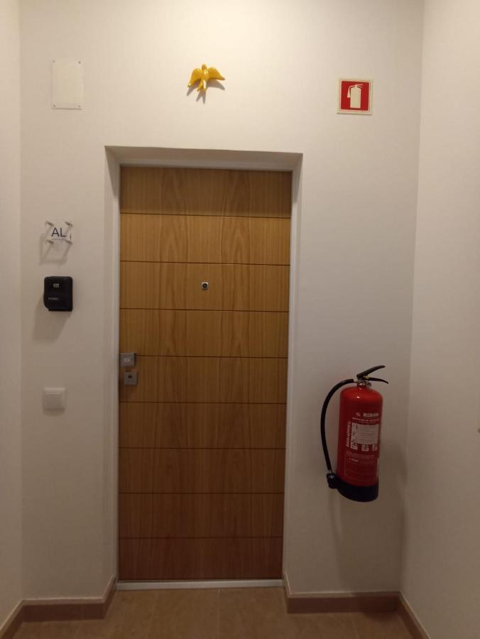 Family Apartament II 科英布拉 外观 照片